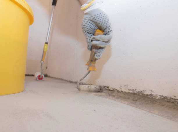 Best Pest Exclusion Services  in Trail Creek, IN